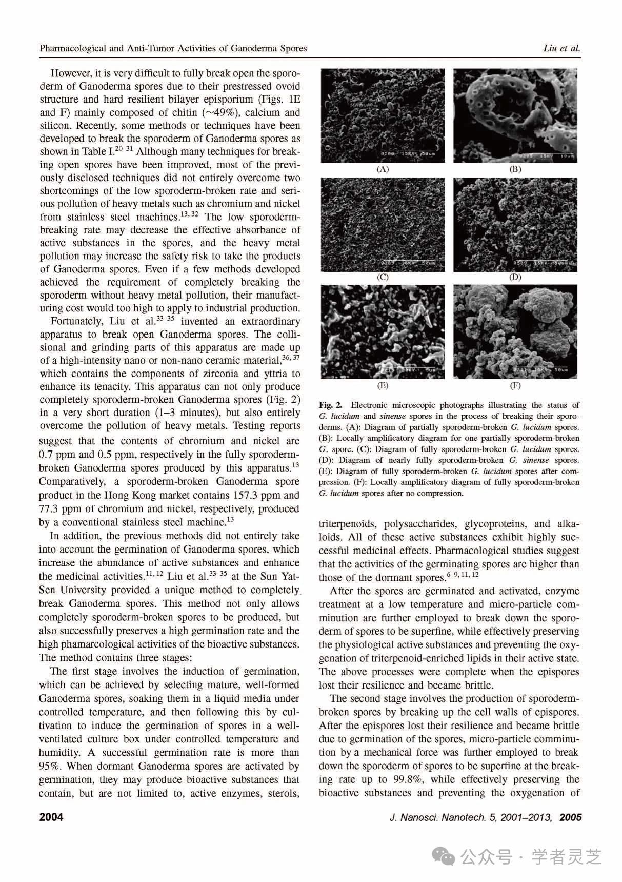 ɴС(Top-Down)֥ӵҩѧͿԣӢİ棩