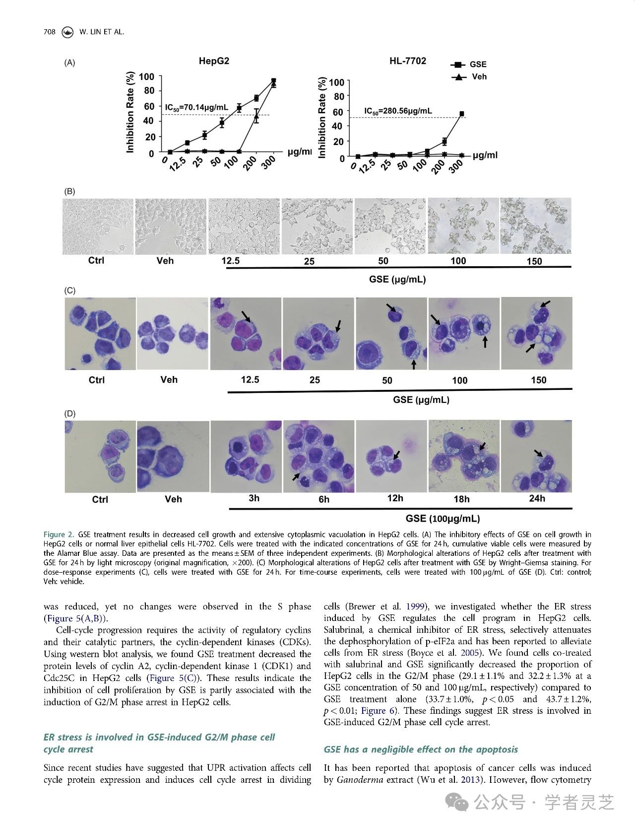 ֥ȡͨӦյΰϸͣӢİ棩